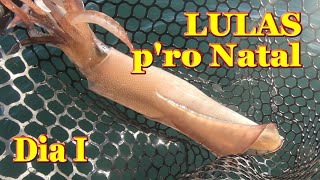 Dia 1 de pesca á Lula Ceia do Natal de lulas recheadas Pescaria ás Lulas entre amigos no Algarve [upl. by Lotsyrc]