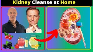 How to Heal Your Kidneys Naturally  Dr Mandell  Dr Berg [upl. by Ennazor]