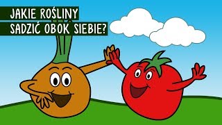 Jakie rośliny sadzić obok siebie Te rośliny same sobie pomagają [upl. by Anirda301]