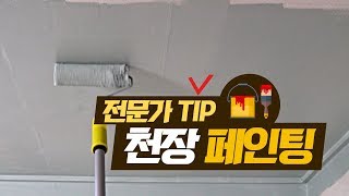 페인트 칠 Basic 전문가처럼 천장 페인트 칠하기 [upl. by Yrrol]