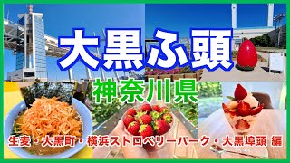 【鶴見観光】生麦や大黒埠頭周辺のグルメや観光スポットを徹底解説！！いちご狩りができる横浜ストロベリーパークや横浜ベイブリッジも紹介します！ [upl. by Ennaeirrac968]