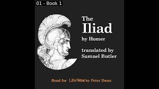 The Iliad Version 2 by Homer read by Peter Dann Part 12  Full Audio Book [upl. by Maxine]