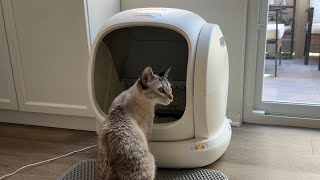 Unboxing  setting up the MeoWant SelfCleaning Cat Litter Box Automatic litter box review  demo [upl. by Ilac]