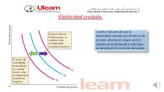 Elasticidad cruzada de la demanda Elasticidad ingreso de la demanda [upl. by Aidnic]