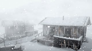 SEVERE WINTER STORM Snowstorm sounds for sleeping and howling wind Video of snowfall for sleeping [upl. by Ellehc555]