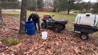 MAPLE SAP  First run of the 2024 sugar season first time for tubing [upl. by Dannel]