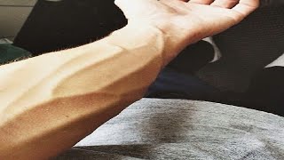 advanced veiny forearm workout in 2 minutes [upl. by Ortensia]