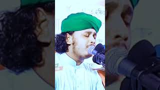 মা ফাতেমার নয়ন মনি Ma fatemar noyon moni  karbalar gojol  shamim raza qadri [upl. by Adnolrehs]