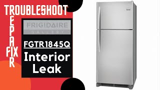 Frigidaire Refrigerator Water Leak Troubleshoot [upl. by Eiznekcm]