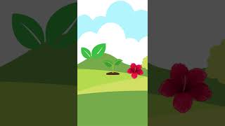 How do plants grow kidzone0423 [upl. by Kelley]