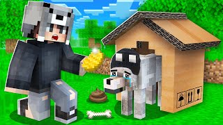 EVSİZ FAKİR KÖPEĞİ SAHİPLENDİM 🐶  Minecraft [upl. by Burkitt]