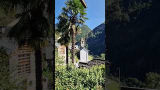 TICINO SWITZERLAND TRAVEL SHORTS YTSHORTS [upl. by Llieno]