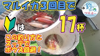 夏の相模湾、浅場マルイカ。初心者必見相模湾勝利スッテとこの釣り方でボウズ回避。 [upl. by Clein]