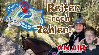 Reiten nach Zahlen  Kameramann ON AIR direkt vom Pferd 45 Reitwege der Reihe nach im Test [upl. by Nilyarg]