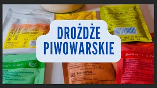 Górna dolna fermentacja Krótkie wprowadzenie [upl. by Felipe]