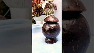 Coconut shell jar🥥 🥥 🥥 DIY shortsfeed shorts craft malayalam [upl. by Asilam]