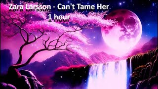 Zara Larsson  Can´t tame her 1 hour [upl. by Viviane174]