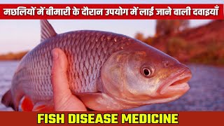 How To Use Fish Medicine  Fish Diseases and Treatment  Fish Farming [upl. by Ahselyt]