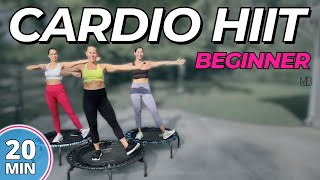 Trampoline Cardio HIIT  Beginner Challenge  DAY 6 [upl. by Ytoc303]