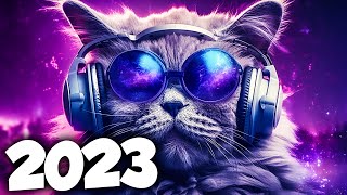 MÚSICA ELETRÔNICA 2023 🔥 ELETRÔNICAS 2023 MAIS TOCADAS 🔥 Alok Vintage Culture amp David Guetta [upl. by Anyrb893]