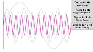 Intro To EEG Waves [upl. by Ninnahc]