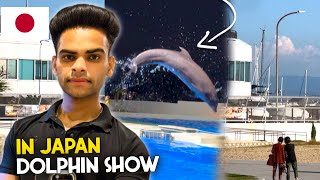 Dolphin Show in Japan  Working in Japan  Indian in Japan  Japan vlogs [upl. by Caro]