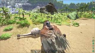 Ark Survival Evolved  Soloing the Ark  Ep14 Doedicurus and Megaloceross [upl. by Pardoes]