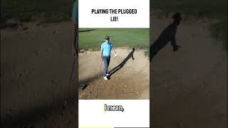 How to play the plugged lie every time golftips [upl. by Weight]