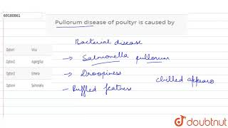 Pullorum disease of poultyr is caused by [upl. by Boucher]