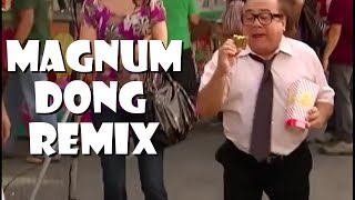 Magnum Dong  Remix Compilation 1 [upl. by Silber834]