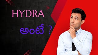 detailed explanation about hydra  HYDRA  HYDRA DEMOLITION  REUSED CONTENT IS FIXED [upl. by Samoht]