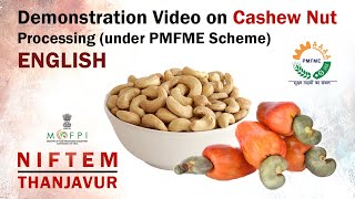 Demonstration Video on Cashew Nut Processing under PMFME Scheme  ENGLISH [upl. by Gleason]