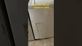 Foreclosure Find Is This Laundry Room a Dealbreaker [upl. by Zahara]