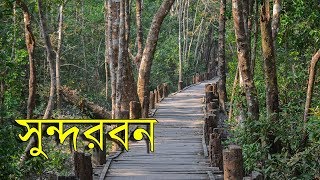 Travel Sundarban  Worlds Largest Mangrove Forest [upl. by Halimaj]