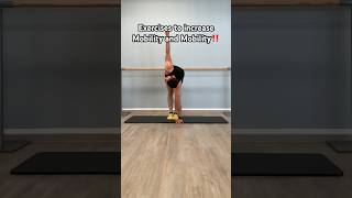 Exercises to increase Mobility and Mobilitystretchingexercises flexibilityroutine mobility [upl. by Mora]