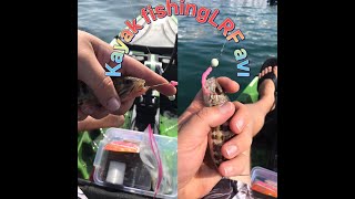 Kayak Fishing Lrf Avı  Freecamp Allure Pedallı Kano [upl. by Nonregla33]