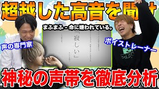 【まふまふ  命に嫌われている。】全てを超越した高音…声帯の専門家2人が秘密を暴く【リアクション動画】 [upl. by Kolodgie]