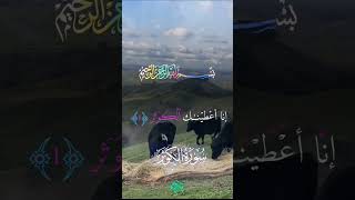 Quranelkarim world natural Relax Shorts animals القرانالكريم اكسبلور سورةالكوثر [upl. by Barcroft574]