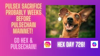 PulseX Sacrifice Probably Weeks Before PulseChain Mainnet Go Hex PulseChain amp PulseX Hex Day 726 [upl. by Kathryn825]