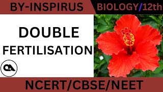 DOUBLE FERTILISATION  CLASS12  CBSE  NEET [upl. by Judon]