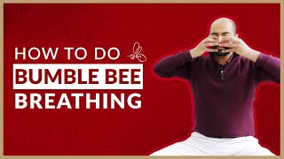 Bhramari Pranayama Beginner’s Guide to Bumblebee Breathing  Arhanta Yoga [upl. by Knowland348]