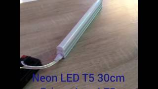 Neon LED T5 30cm  Prima Jaya LED [upl. by Shornick]