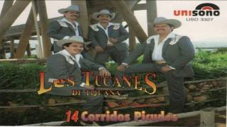 Tucanes De Tijuana Los Mejores 14 Corridos Picudos Mix [upl. by Ahterod607]