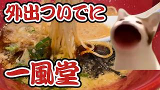 商業施設からのラーメンした何気ない日常 猫マニ 猫ミーム [upl. by Erusaert4]