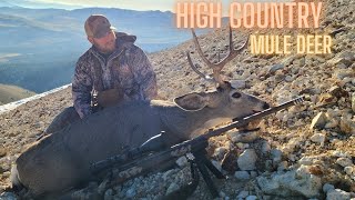 Mule Deer Hunt in X12 CA [upl. by Leverett]