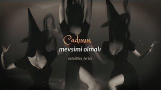 Season Of The Witch Lyrics Türkçe Çeviri┊Palaye Royale [upl. by Thisbe]