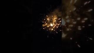 Colorful Firework Cake💥 feuerwerk fireworks vuurwerk fajerwerkifireworkfuochidartificio pyro [upl. by Ocirrej]