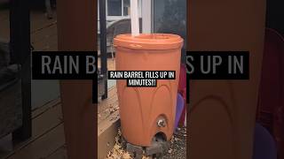 Why you need a RAIN BARREL [upl. by Deane]