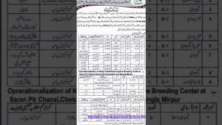 Nadra Jobs 2024  Data base jobs 2024  willed life jobs 2024  Azad kashmir jobs  New jobs 2024 [upl. by Norbert245]