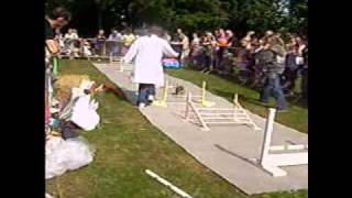 Mirfield Show rabbit jumping [upl. by Noyart878]